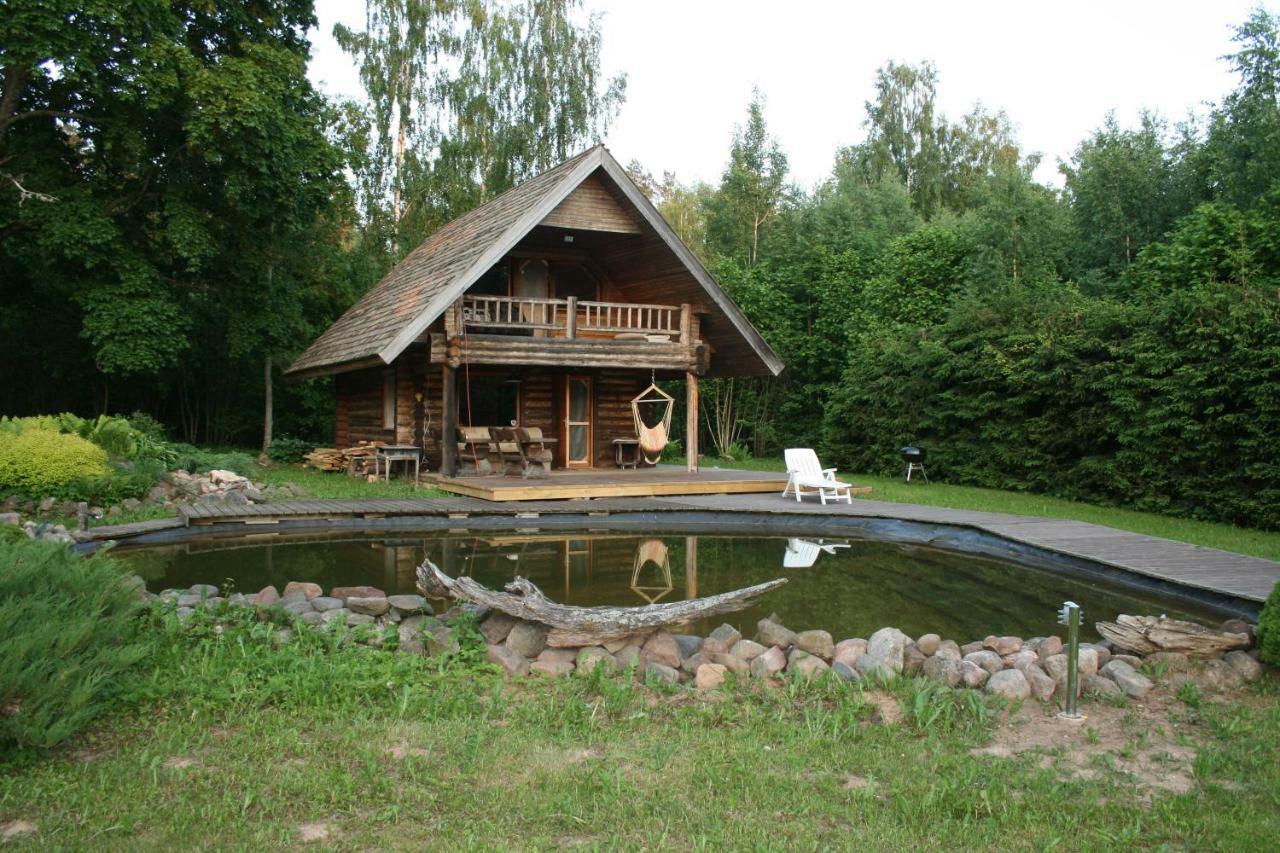 Jaunzemji Villa Dzeni  Ngoại thất bức ảnh